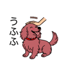 名前入りダックスロングレッド（個別スタンプ：19）