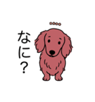 名前入りダックスロングレッド（個別スタンプ：22）