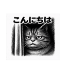 太り切った猫（個別スタンプ：23）