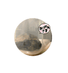 ニホンイシガメ（個別スタンプ：15）
