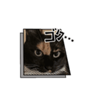 ちゃだぜ（個別スタンプ：1）