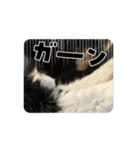 ちゃだぜ（個別スタンプ：6）