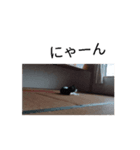 それいけ！はっちくん第3段（個別スタンプ：3）