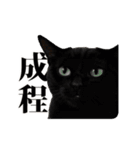 おもしろい動きをする猫のスタンプ（個別スタンプ：3）