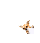 動く！こちらを覗く者（個別スタンプ：21）