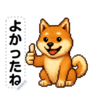 ドットな柴犬メッセージスタンプ☆豆柴（個別スタンプ：2）