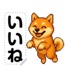 ドットな柴犬メッセージスタンプ☆豆柴（個別スタンプ：3）