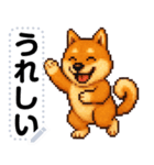 ドットな柴犬メッセージスタンプ☆豆柴（個別スタンプ：4）