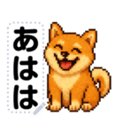 ドットな柴犬メッセージスタンプ☆豆柴（個別スタンプ：5）