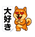 ドットな柴犬メッセージスタンプ☆豆柴（個別スタンプ：7）