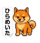 ドットな柴犬メッセージスタンプ☆豆柴（個別スタンプ：8）