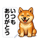 ドットな柴犬メッセージスタンプ☆豆柴（個別スタンプ：9）