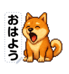 ドットな柴犬メッセージスタンプ☆豆柴（個別スタンプ：10）
