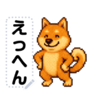ドットな柴犬メッセージスタンプ☆豆柴（個別スタンプ：11）