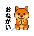 ドットな柴犬メッセージスタンプ☆豆柴（個別スタンプ：13）