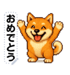 ドットな柴犬メッセージスタンプ☆豆柴（個別スタンプ：16）