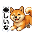 ドットな柴犬メッセージスタンプ☆豆柴（個別スタンプ：18）