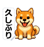 ドットな柴犬メッセージスタンプ☆豆柴（個別スタンプ：19）