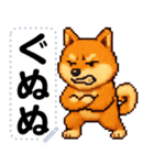 ドットな柴犬メッセージスタンプ☆豆柴（個別スタンプ：21）
