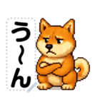 ドットな柴犬メッセージスタンプ☆豆柴（個別スタンプ：23）