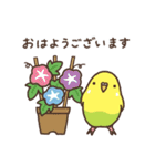 夏もインコといっしょ2（個別スタンプ：2）