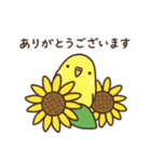 夏もインコといっしょ2（個別スタンプ：5）