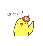 夏もインコといっしょ2（個別スタンプ：9）
