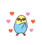 夏もインコといっしょ2（個別スタンプ：13）
