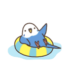 夏もインコといっしょ2（個別スタンプ：17）