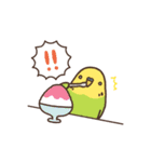 夏もインコといっしょ2（個別スタンプ：20）