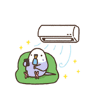 夏もインコといっしょ2（個別スタンプ：23）