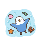 夏もインコといっしょ2（個別スタンプ：30）