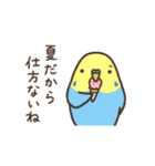 夏もインコといっしょ2（個別スタンプ：32）