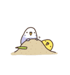 夏もインコといっしょ2（個別スタンプ：35）