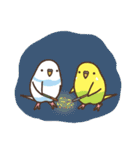 夏もインコといっしょ2（個別スタンプ：36）