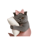 珍しい品種のマーメイドキャット （NT）（個別スタンプ：2）