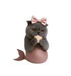 珍しい品種のマーメイドキャット （NT）（個別スタンプ：4）