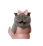 珍しい品種のマーメイドキャット （NT）（個別スタンプ：6）