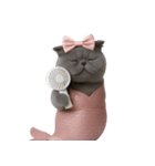 珍しい品種のマーメイドキャット （NT）（個別スタンプ：10）