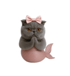 珍しい品種のマーメイドキャット （NT）（個別スタンプ：13）