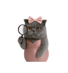 珍しい品種のマーメイドキャット （NT）（個別スタンプ：18）