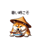 夏の麦わら太っちょ柴犬（個別スタンプ：1）