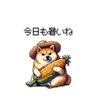 夏の麦わら太っちょ柴犬（個別スタンプ：2）