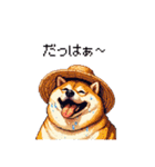 夏の麦わら太っちょ柴犬（個別スタンプ：4）