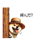 夏の麦わら太っちょ柴犬（個別スタンプ：5）