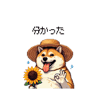 夏の麦わら太っちょ柴犬（個別スタンプ：6）