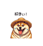 夏の麦わら太っちょ柴犬（個別スタンプ：11）