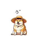 夏の麦わら太っちょ柴犬（個別スタンプ：14）