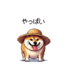 夏の麦わら太っちょ柴犬（個別スタンプ：16）