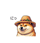 夏の麦わら太っちょ柴犬（個別スタンプ：21）